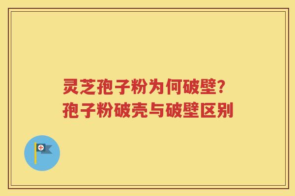 灵芝孢子粉为何破壁？孢子粉破壳与破壁区别