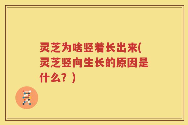 灵芝为啥竖着长出来(灵芝竖向生长的原因是什么？)