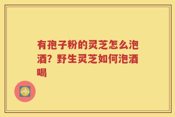 有孢子粉的灵芝怎么泡酒？野生灵芝如何泡酒喝