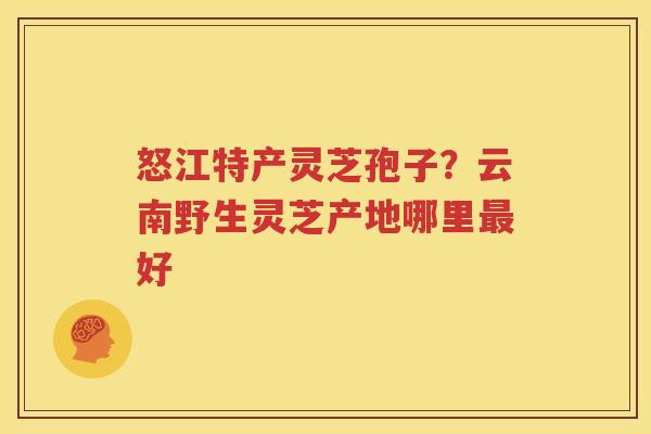 怒江特产灵芝孢子？云南野生灵芝产地哪里最好