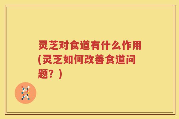 灵芝对食道有什么作用(灵芝如何改善食道问题？)
