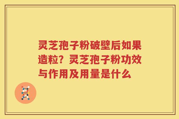 灵芝孢子粉破壁后如果造粒？灵芝孢子粉功效与作用及用量是什么