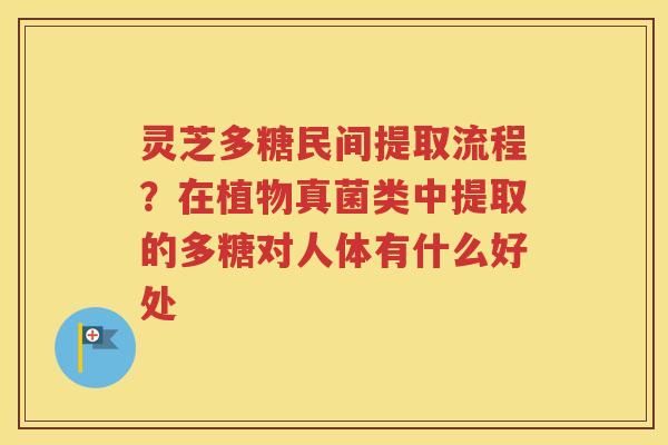 灵芝多糖民间提取流程？在植物真菌类中提取的多糖对人体有什么好处