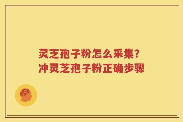灵芝孢子粉怎么采集？冲灵芝孢子粉正确步骤
