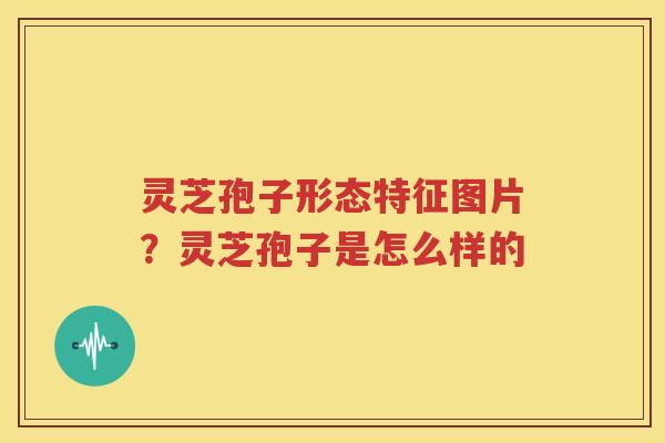 灵芝孢子形态特征图片？灵芝孢子是怎么样的