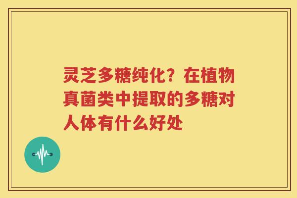 灵芝多糖纯化？在植物真菌类中提取的多糖对人体有什么好处