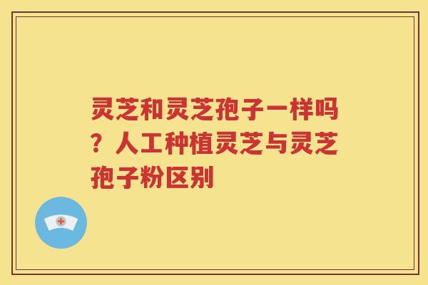 灵芝和灵芝孢子一样吗？人工种植灵芝与灵芝孢子粉区别