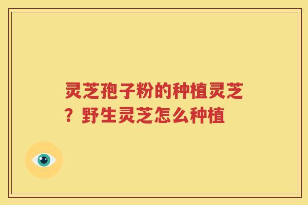 灵芝孢子粉的种植灵芝？野生灵芝怎么种植