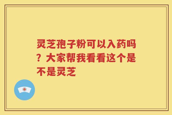 灵芝孢子粉可以入药吗？大家帮我看看这个是不是灵芝