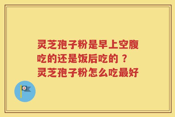 灵芝孢子粉是早上空腹吃的还是饭后吃的 ？灵芝孢子粉怎么吃最好