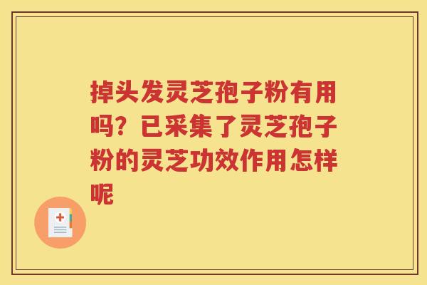 掉头发灵芝孢子粉有用吗？已采集了灵芝孢子粉的灵芝功效作用怎样呢