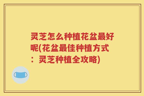 灵芝怎么种植花盆最好呢(花盆最佳种植方式：灵芝种植全攻略)