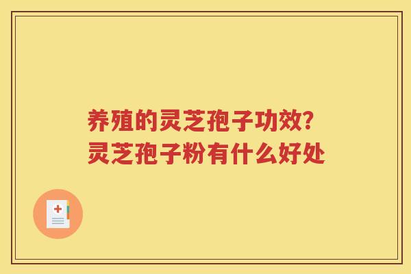 养殖的灵芝孢子功效？灵芝孢子粉有什么好处