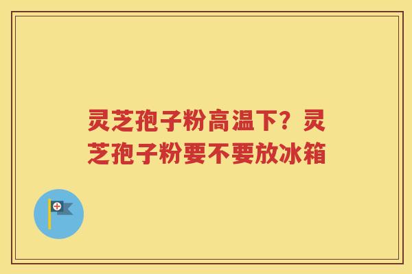 灵芝孢子粉高温下？灵芝孢子粉要不要放冰箱