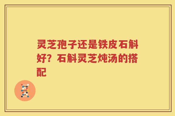 灵芝孢子还是铁皮石斛好？石斛灵芝炖汤的搭配