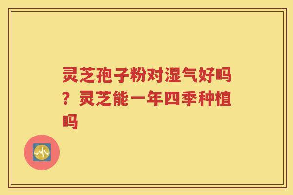 灵芝孢子粉对湿气好吗？灵芝能一年四季种植吗