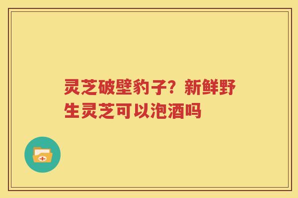 灵芝破壁豹子？新鲜野生灵芝可以泡酒吗