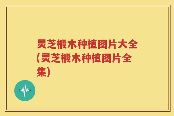 灵芝椴木种植图片大全(灵芝椴木种植图片全集)