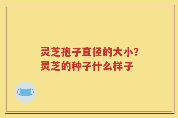 灵芝孢子直径的大小？灵芝的种子什么样子