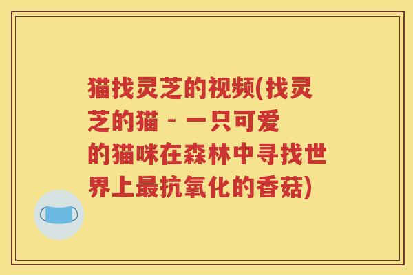 猫找灵芝的视频(找灵芝的猫 - 一只可爱的猫咪在森林中寻找世界上最抗氧化的香菇)