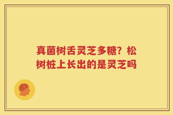 真菌树舌灵芝多糖？松树桩上长出的是灵芝吗
