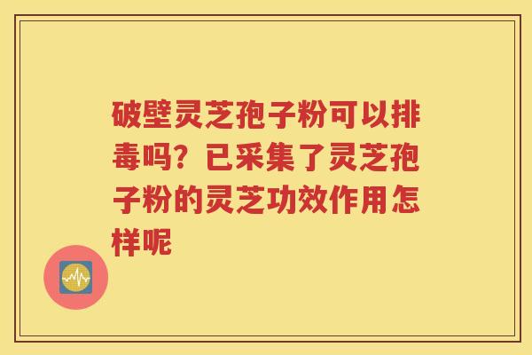 破壁灵芝孢子粉可以排毒吗？已采集了灵芝孢子粉的灵芝功效作用怎样呢