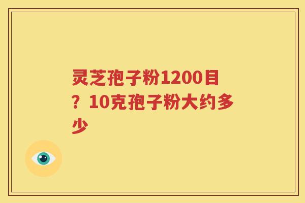 灵芝孢子粉1200目？10克孢子粉大约多少