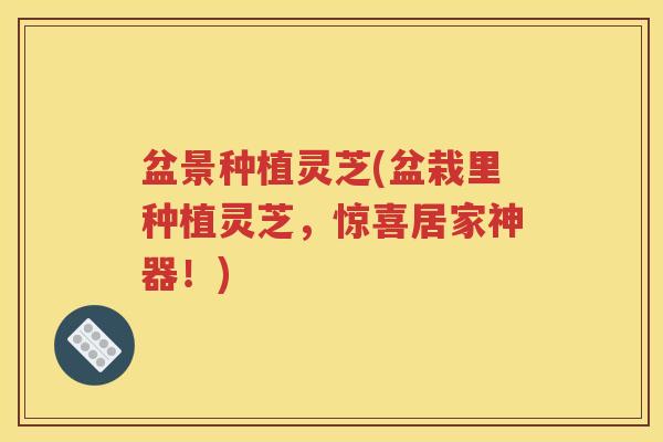 盆景种植灵芝(盆栽里种植灵芝，惊喜居家神器！)