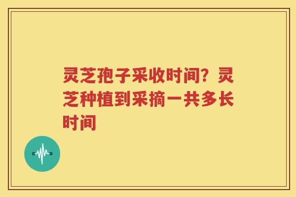 灵芝孢子采收时间？灵芝种植到采摘一共多长时间