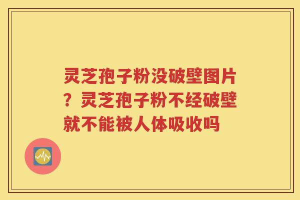 灵芝孢子粉没破壁图片？灵芝孢子粉不经破壁就不能被人体吸收吗