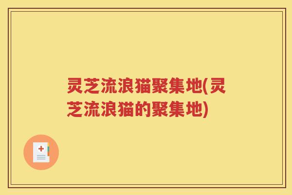 灵芝流浪猫聚集地(灵芝流浪猫的聚集地)