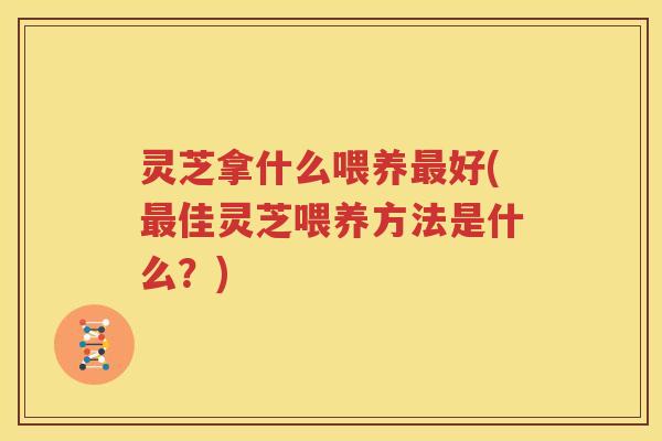 灵芝拿什么喂养最好(最佳灵芝喂养方法是什么？)