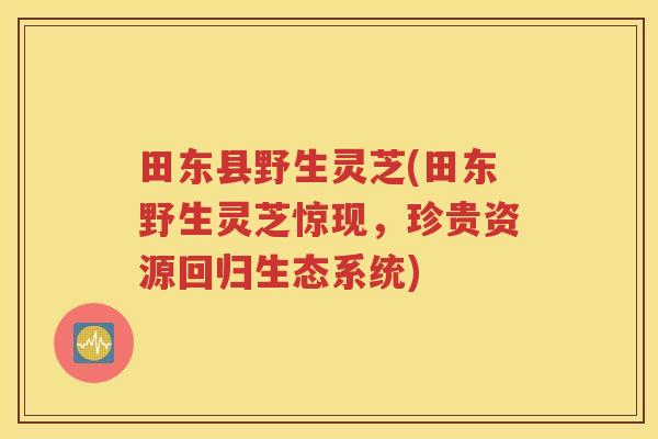 田东县野生灵芝(田东野生灵芝惊现，珍贵资源回归生态系统)