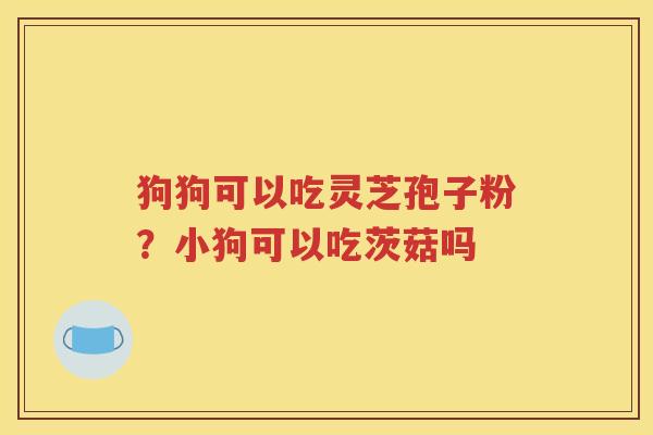 狗狗可以吃灵芝孢子粉？小狗可以吃茨菇吗