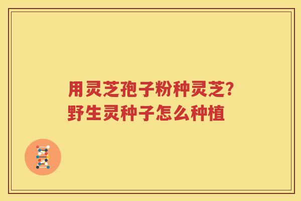 用灵芝孢子粉种灵芝？野生灵种子怎么种植