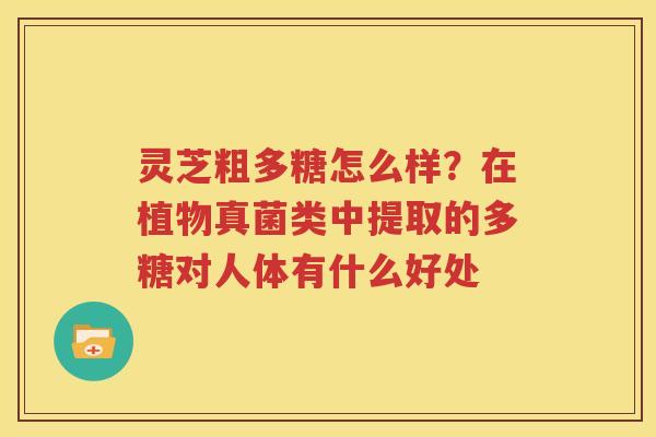 灵芝粗多糖怎么样？在植物真菌类中提取的多糖对人体有什么好处