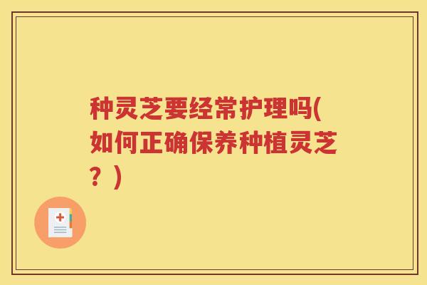 种灵芝要经常护理吗(如何正确保养种植灵芝？)