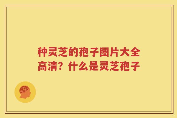 种灵芝的孢子图片大全高清？什么是灵芝孢子