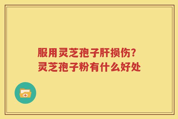 服用灵芝孢子肝损伤？灵芝孢子粉有什么好处