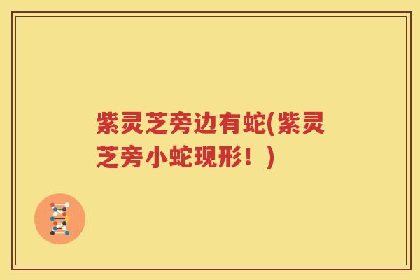 紫灵芝旁边有蛇(紫灵芝旁小蛇现形！)