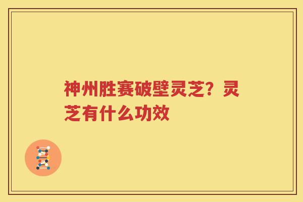 神州胜赛破壁灵芝？灵芝有什么功效
