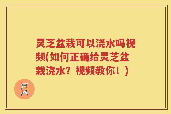 灵芝盆栽可以浇水吗视频(如何正确给灵芝盆栽浇水？视频教你！)