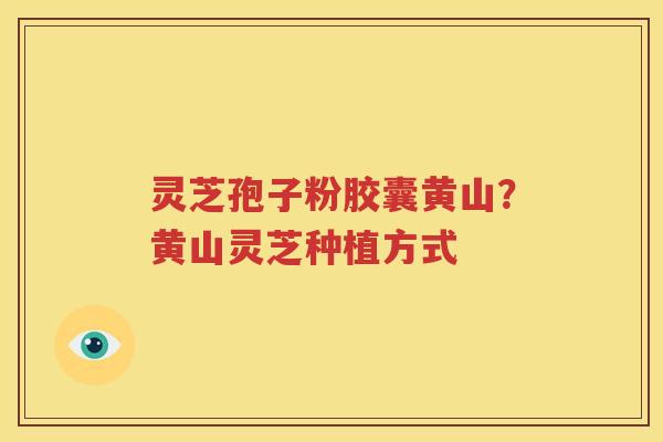 灵芝孢子粉胶囊黄山？黄山灵芝种植方式