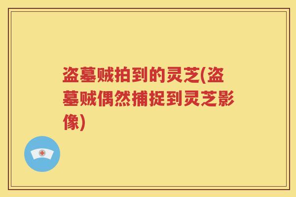 盗墓贼拍到的灵芝(盗墓贼偶然捕捉到灵芝影像)