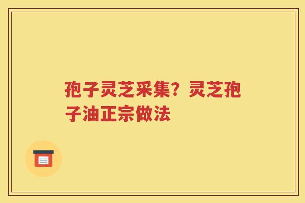 孢子灵芝采集？灵芝孢子油正宗做法