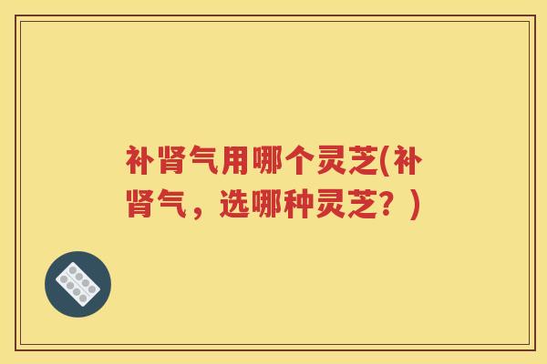 补肾气用哪个灵芝(补肾气，选哪种灵芝？)