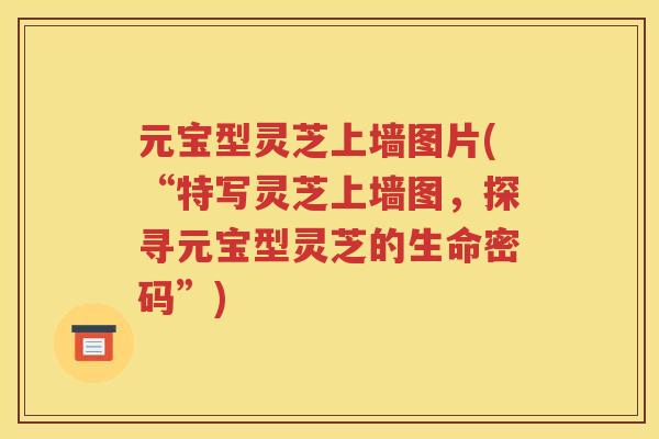 元宝型灵芝上墙图片(“特写灵芝上墙图，探寻元宝型灵芝的生命密码”)