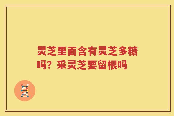灵芝里面含有灵芝多糖吗？采灵芝要留根吗