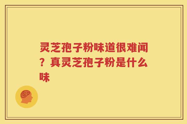 灵芝孢子粉味道很难闻？真灵芝孢子粉是什么味