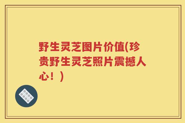 野生灵芝图片价值(珍贵野生灵芝照片震撼人心！)